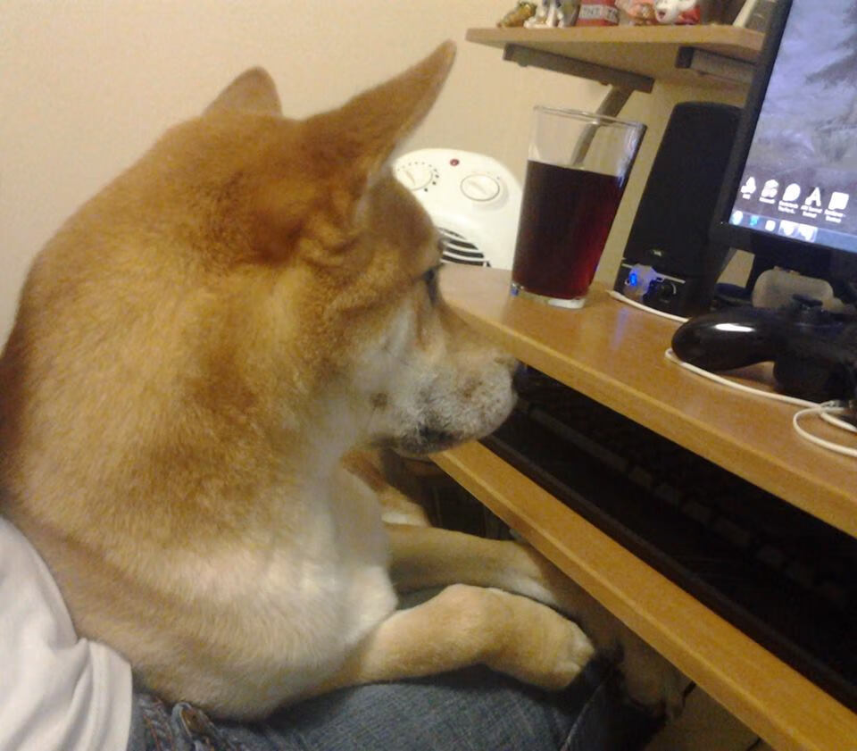 开云体育入口-磐石与手术刀，当楚阿梅尼的硬核对决那不勒斯的体系碾压