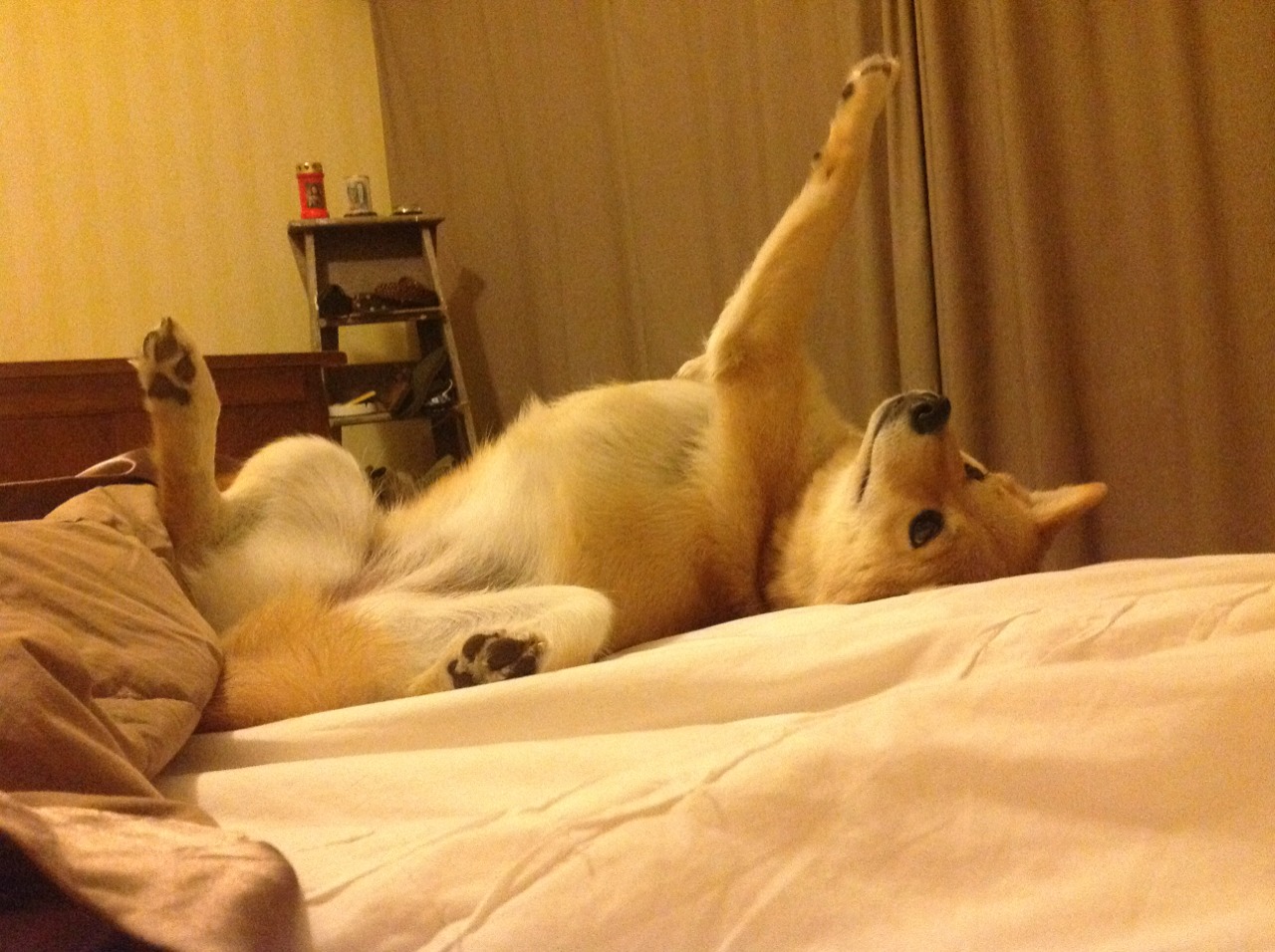 撕裂的球网，交织的轨迹