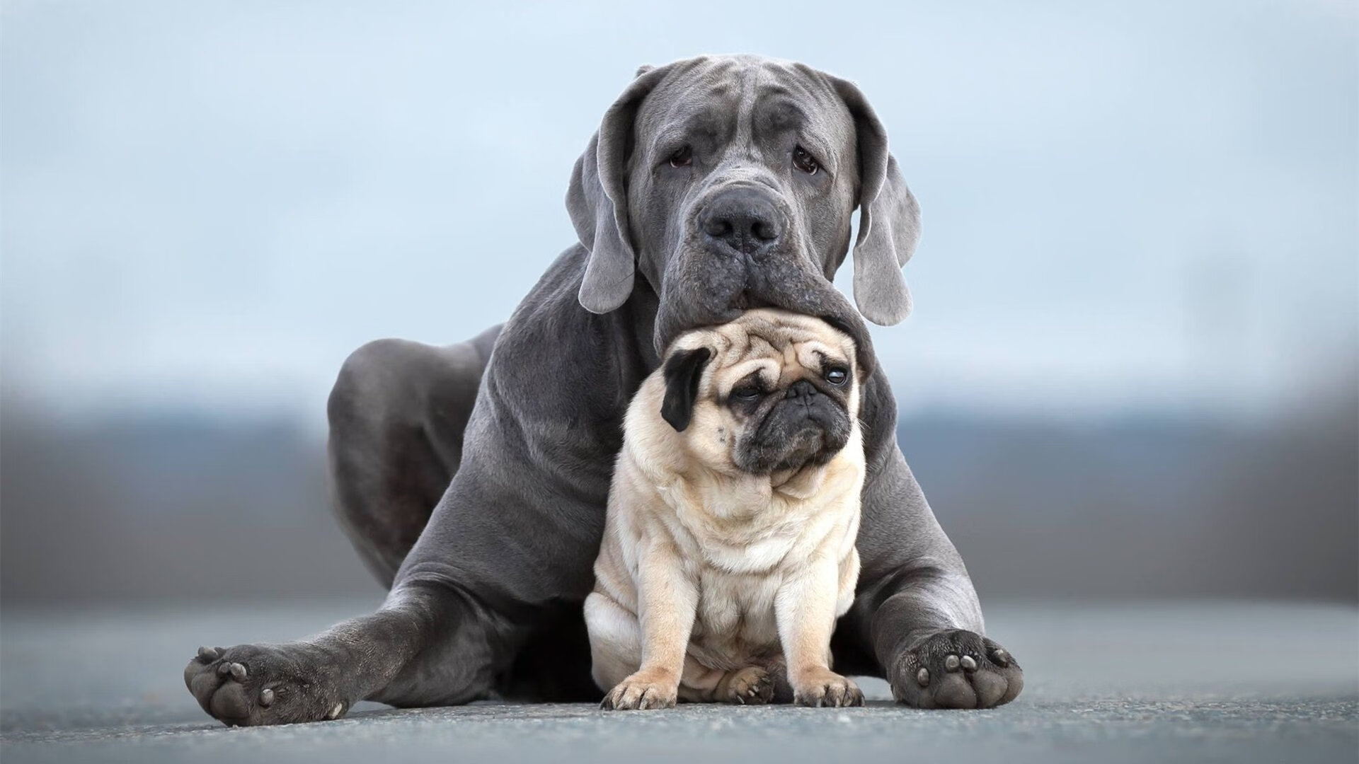 奥运足球的双重奏，埃及加时取胜韩国，梅西关键战接管比赛
