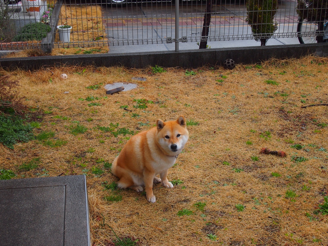 开云体育app-逆转之夜，秘鲁末节带走亚特兰大，莫德里奇化身关键先生