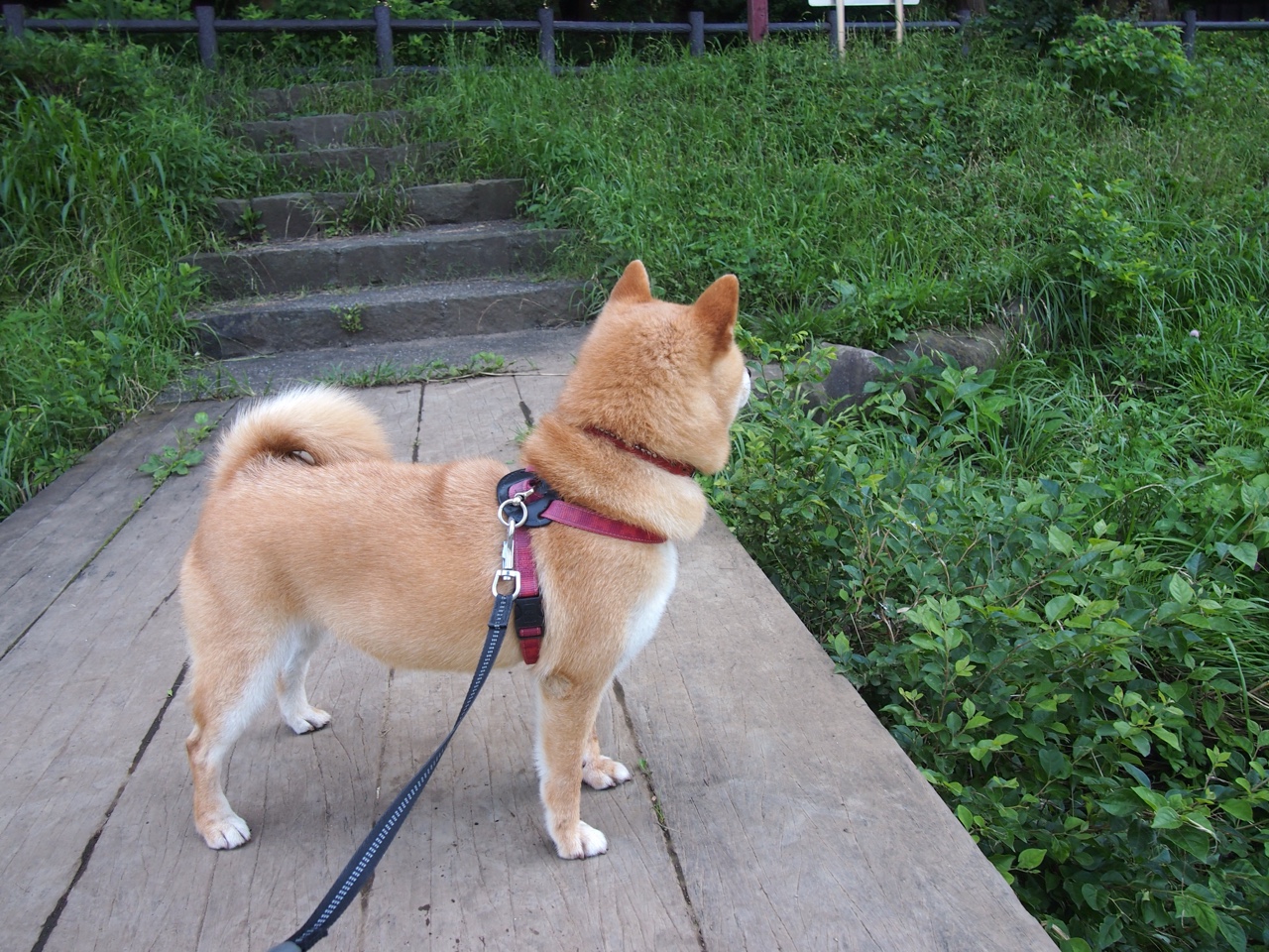 开云体育官网-杜兰特的天平，最后一秒的沉静与整场的轰鸣