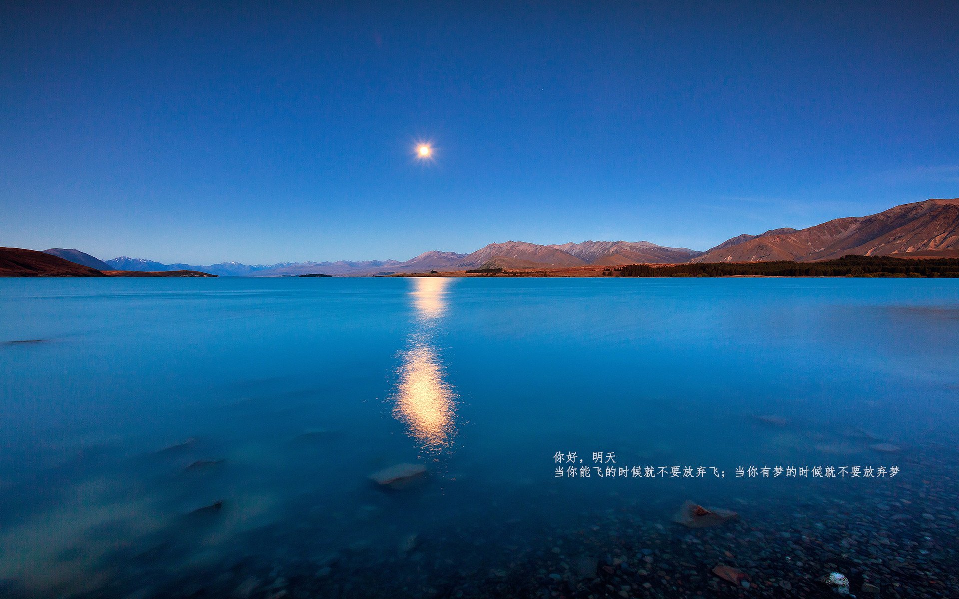 当狂野非洲碰撞蔚蓝海岸,C罗的攻防转换核心命题