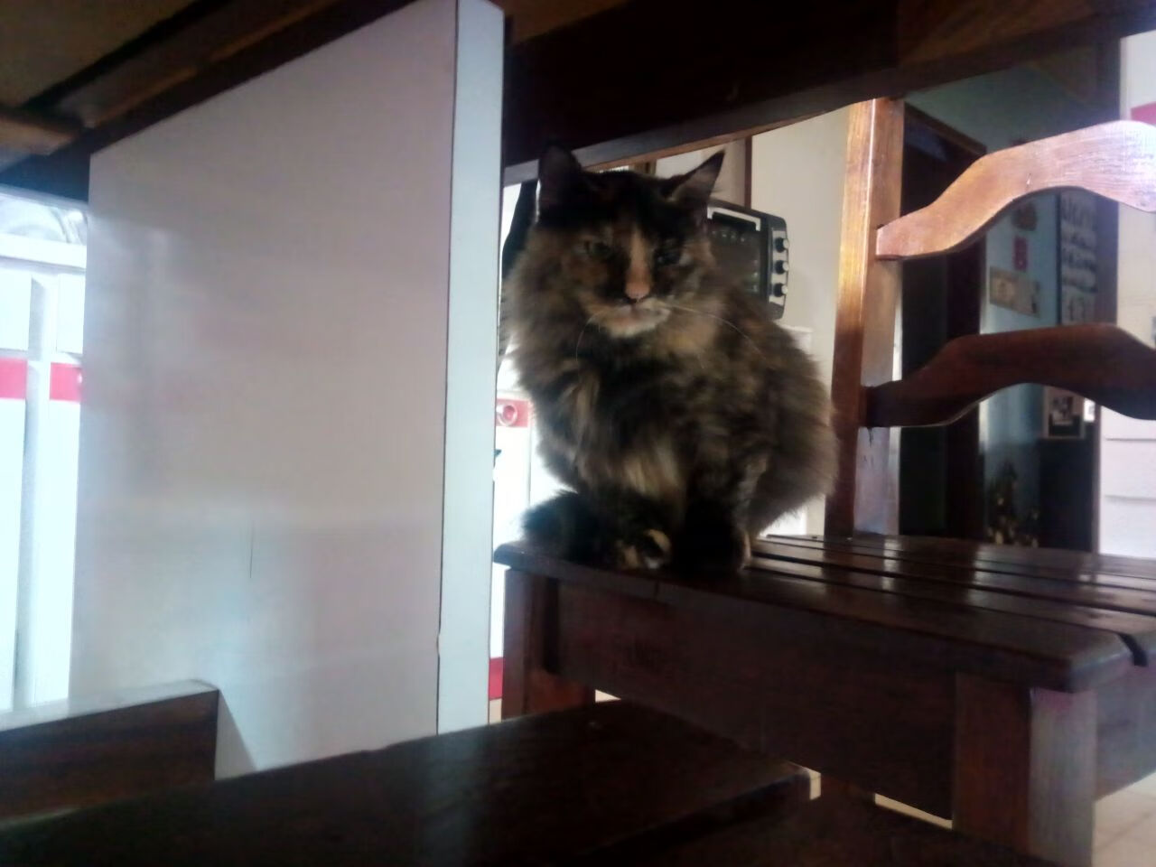 战术冰封,新星引爆,魔术用防守绞索与杰伦·格林的关键重拳击倒凯尔特人