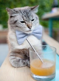 武切维奇单骑破阵如入无人之境,费城军团火力全开狂扫黄蜂