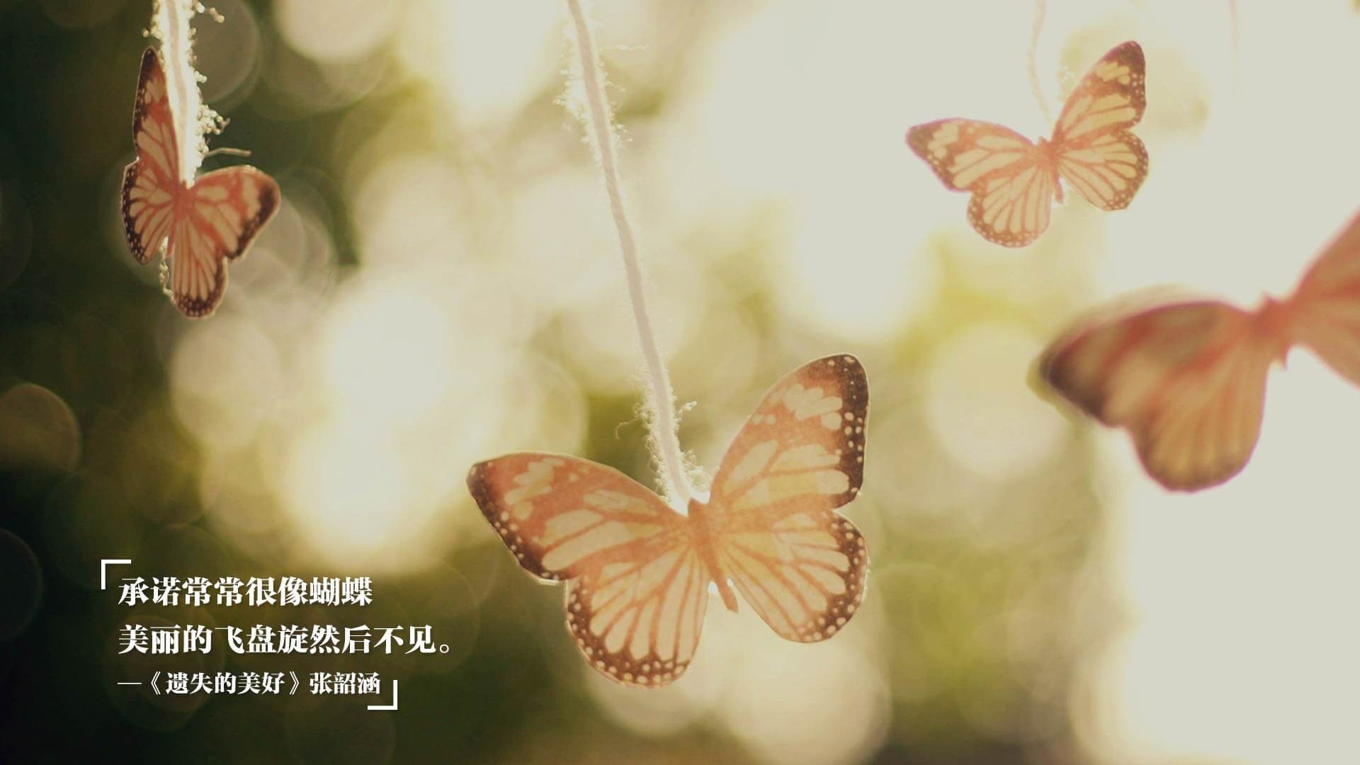 东方对撞西方,广东队梦幻交锋尼克斯,东契奇展现无国界巨星价值