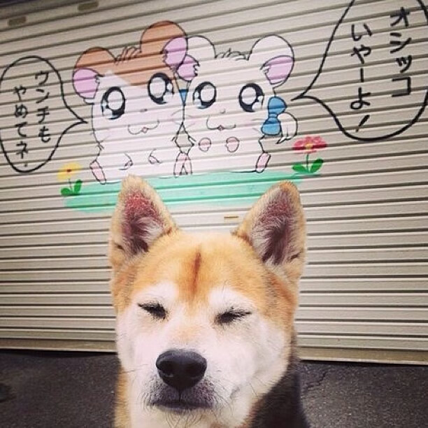 桑巴幻影与北伦敦利刃，当国际米兰的冷遇上萨卡的热