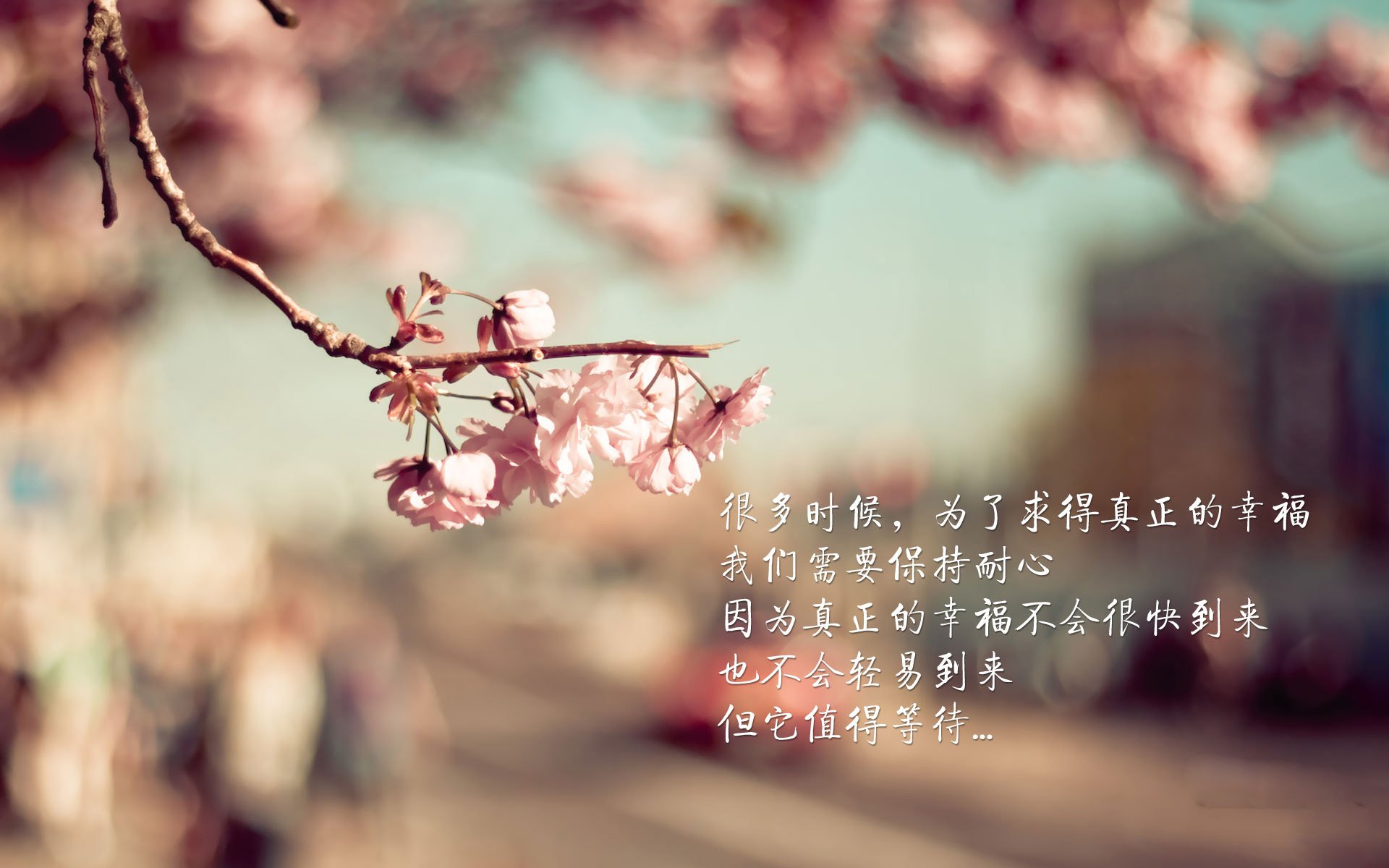 活塞的节奏与马克西的时针