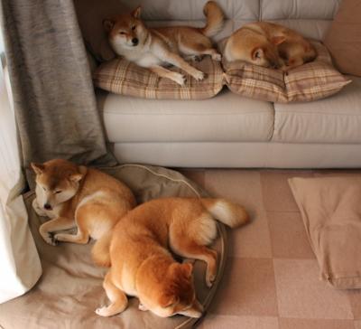 时空入侵者,莫德里奇在德甲争冠夜的硬仗哲学