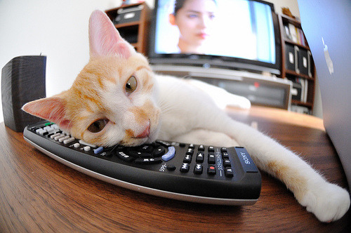 开云体育登录-双核驱动与铜墙铁壁，小贾伦绞杀战中，热火如何全面压制雷霆