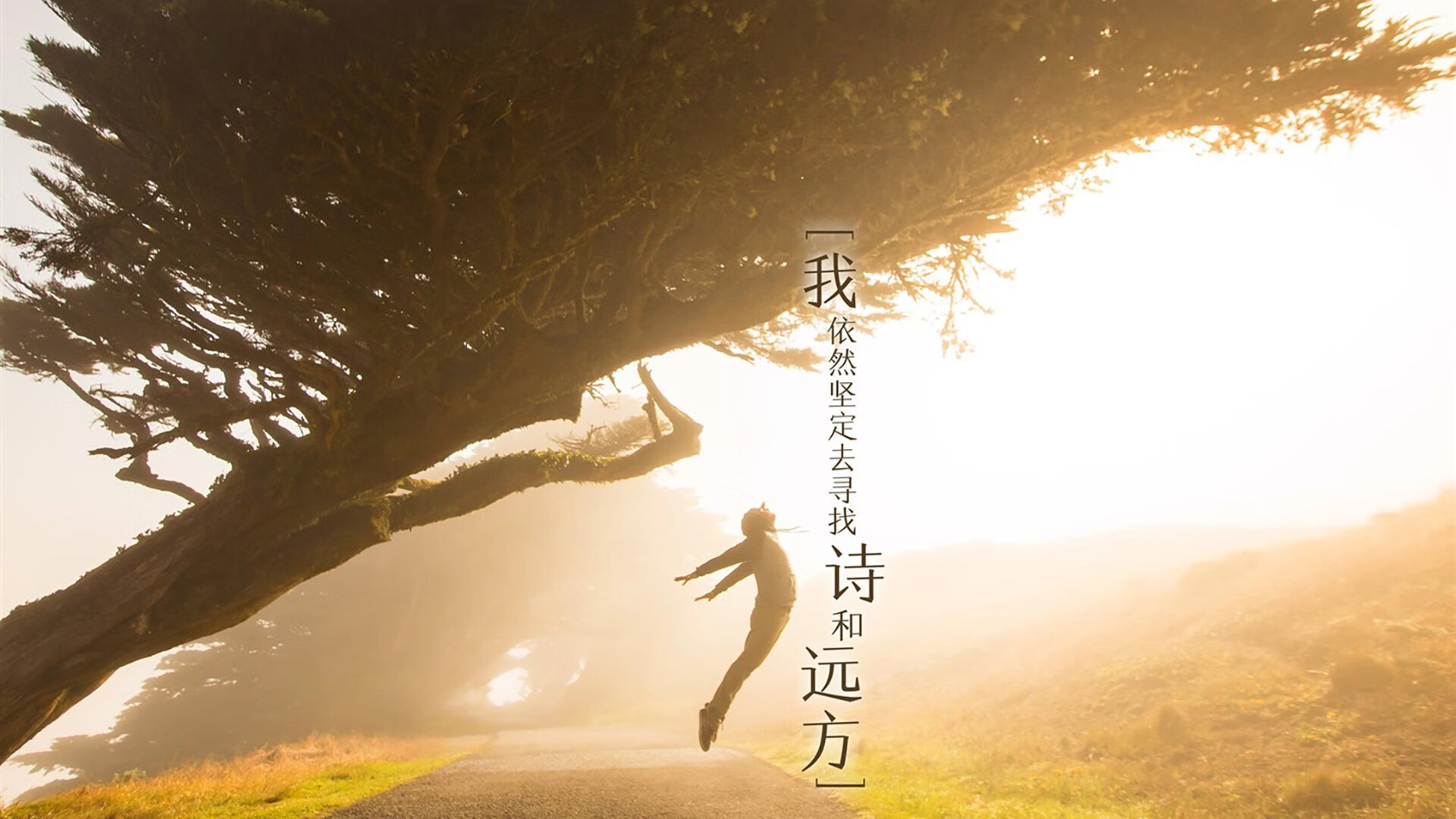开云体育-唯一性，当印度足球的梦想撞上葡萄牙的B费时刻—2026世界杯出线战，一场不可复制的史诗