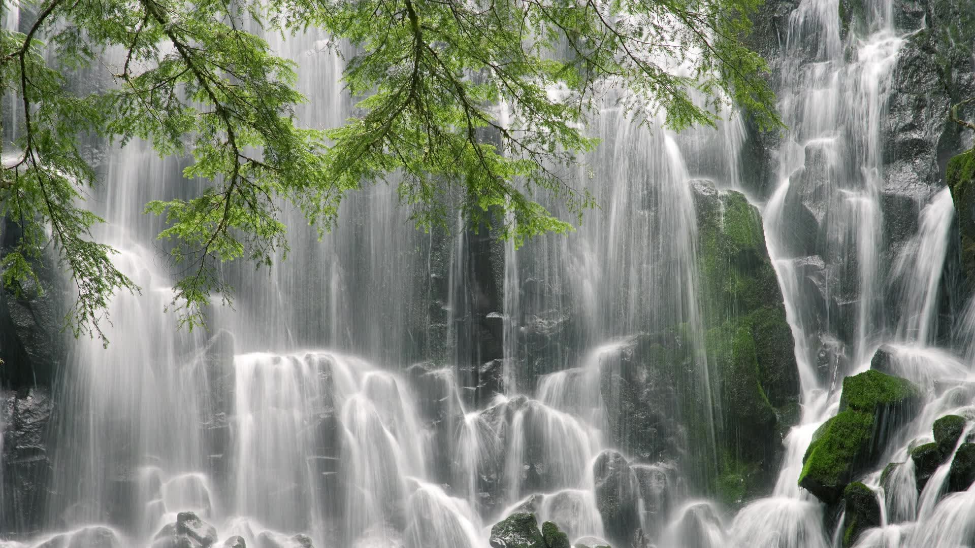 当时间的褶皱在2026年抚平,库尔图瓦如何用十指关为世界足坛写下唯一的神谕